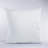 Pillow Insert-1734772404