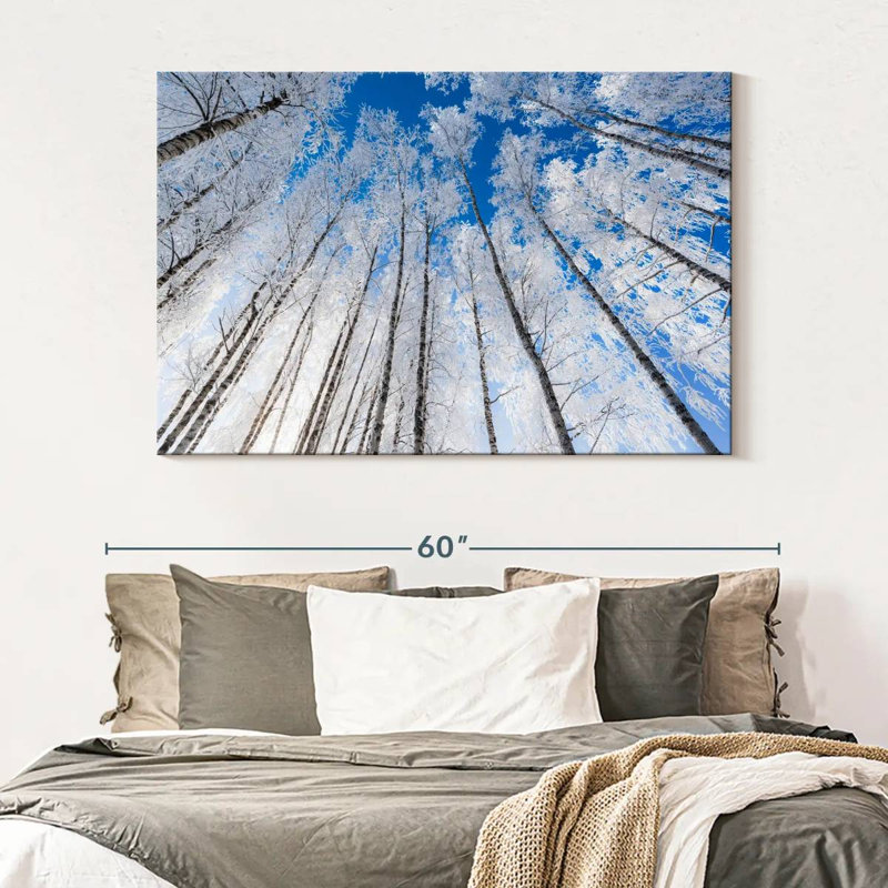 Alvord Wintry Birch Forest