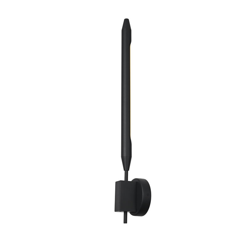 Omarie Outdoor Wall Sconce in Black