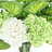 Real-Touch Hydrangeas Arranged with Mixed Greenery