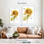 Tournesol Harnek Harvest Gold II-108358333