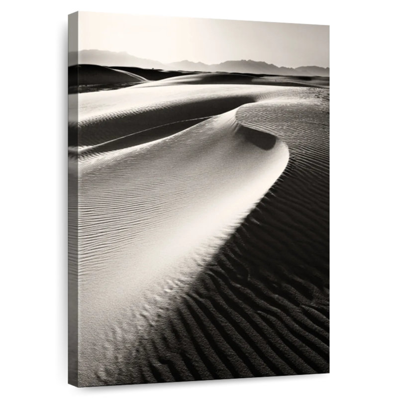 Dunes monochromes Alvord, H 30 po x l 20 po