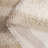 Beare 469 Area Rug In Ivory / Beige-1680183188