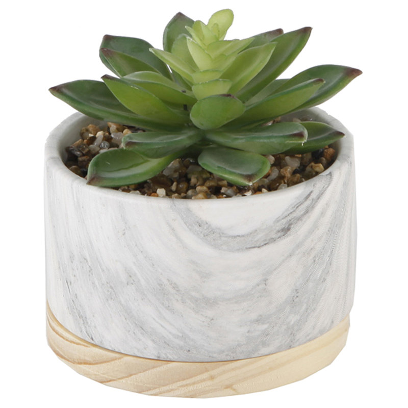 Plante succulente de bureau en marbre / bois 2 pièces en pot