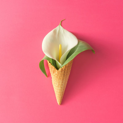 " Ice Cream Cone " by Ivan101
