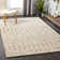 Damien Southwestern Indoor Rug