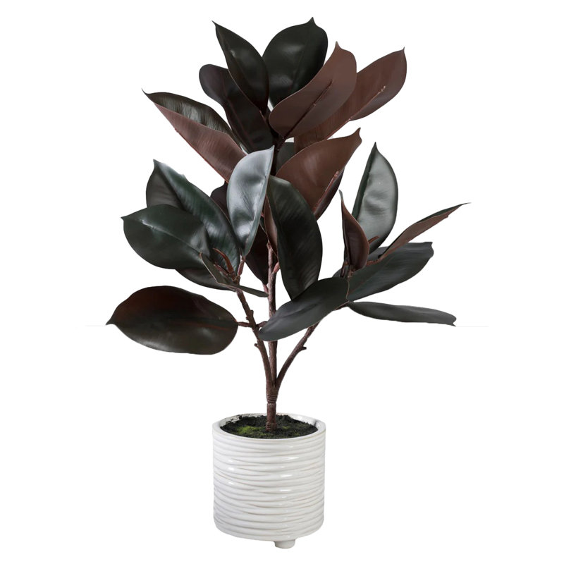  Fausse plante en caoutchouc en pot, 5,5 po de diamètre et 27 po de hauteur