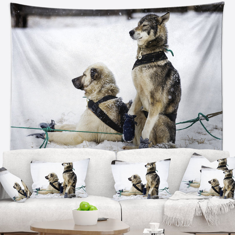 Tapisserie relaxante pour grands chiens de traîneau, H 32 po x l 39 po