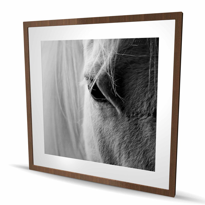 L'œil de cheval blanc - reproduction matte encadrée pour la décoration intérieure, H 36 po x l 36 po, Brun