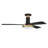 Medeea 52'' Ceiling Fan with LED Lights-181217017