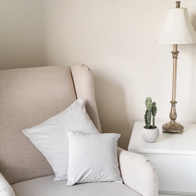 Velvet Pillows Pillow Cover, Gray, 16" H x 16" W