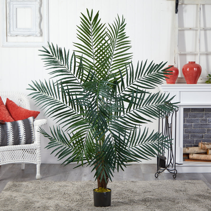 Palmier Charleca Areca, H 60 po x l 44 po x P 44 po / 475 feuilles