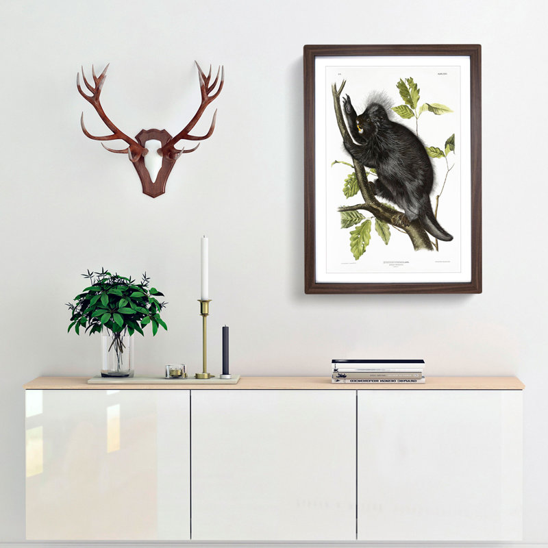 Canadian Porcupine by J.W. Audubon - Picture Frame Graphic Art Print, Walnut Framed, 87cm H x 62cm W x 2cm D
