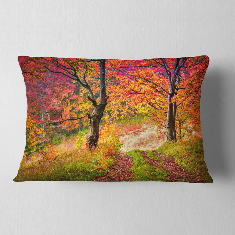 Coussin Schafer