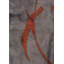 Rapture Abstract Area Rug in Gray-234402332