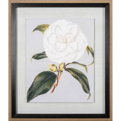 Camellia Japonica I by Vision Studio a Hand Embelished Textured Framed Art Print Matted under Glass