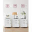 54.4cm Wide 2 -Drawer Mobile File Cabinet