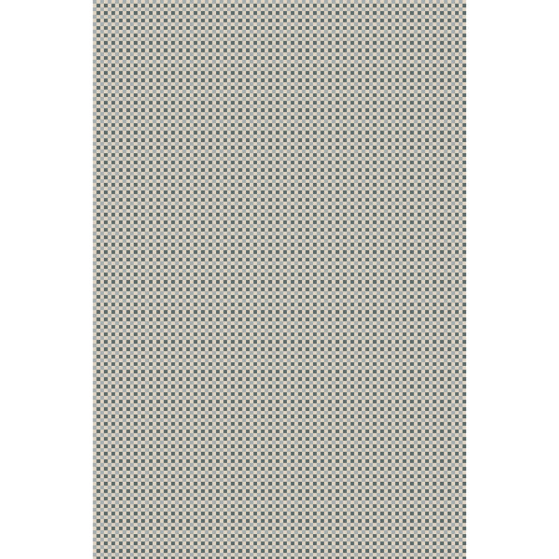 Laflin Checkered Indoor Rug, Rectangle 8' x 10'