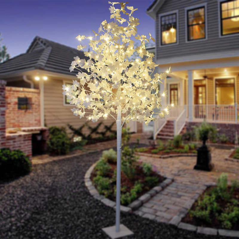 Arbre lumineux d’érable 264