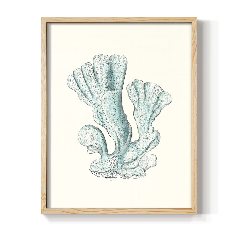 Reproduction encadrée antique de corail de style bord de mer - bois massif, H 15 po x l 12 po