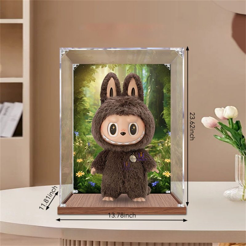 Acrylic Display Box