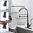 19 In. 360° Spout Swivel Pull Down Sprayer Kitchen Faucet With Water Filter Faucet In Oil Rubbe Bronze-116731362