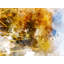 Abstract Nature_0564 Print by Chamira Young-65851217-65825917
