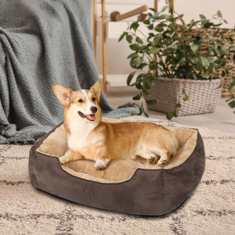 Lit pour chien, H 8 po x l 25 po x P 21 po, Marron foncé