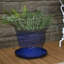 Ensemble de 2 pots à fleurs ronds en céramique émaillée ronds - convient aux jardinières de 12 po - Bleu-897659748-897659737