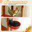 Arbre à chat à hauteur réglable du sol au plafond avec poteaux à griffer, perchoirs confortables et hamac pour les chats d'intérieur