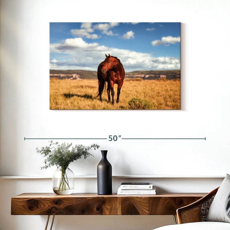 Wild Quarter Horse, 24" H x 36" W