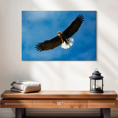 Brampt Eagle d'en bas
