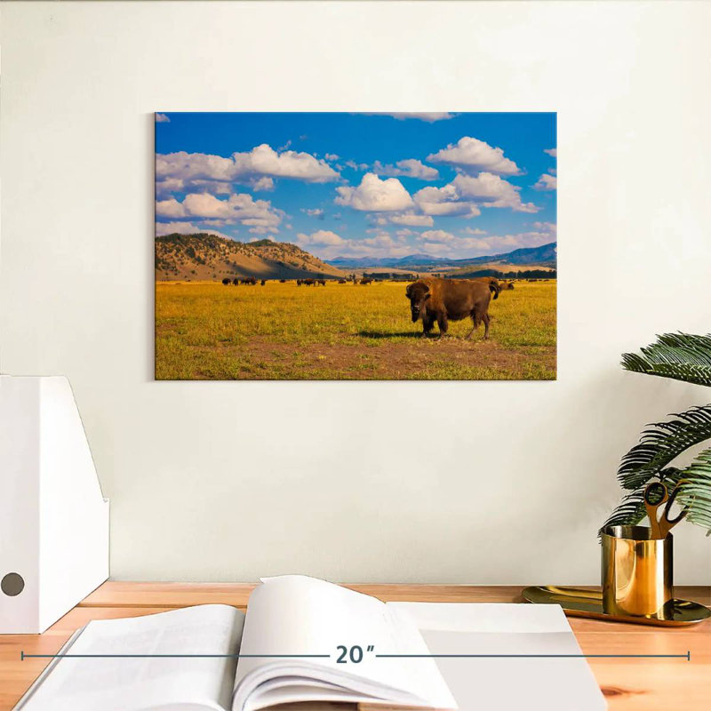 Bison dans le parc national, H 8 po x l 12 po