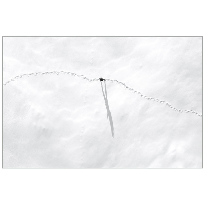 Serene Hike 3 Print by Thom Filicia