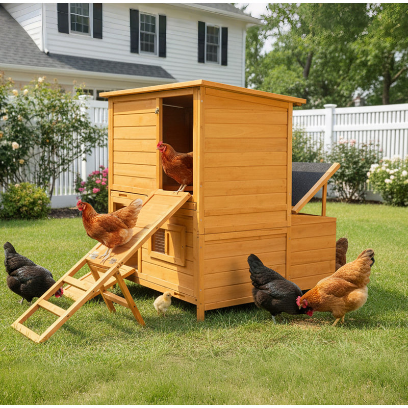 Poulailler, poulailler en bois pour 6 à 8 poules avec 3 nichoirs et 2 plateaux coulissants, avec rampe pliable et toit rabattable