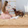 Longford Deep Pile Shaggy Area Rug