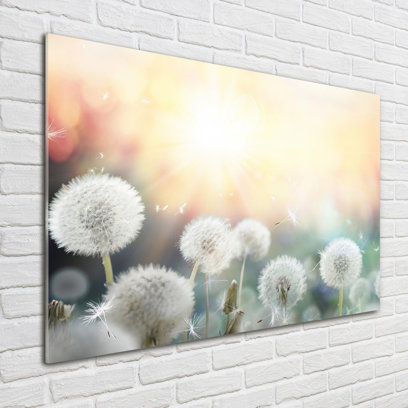A Field Of Dmuchawy - No Frame Print on Glass