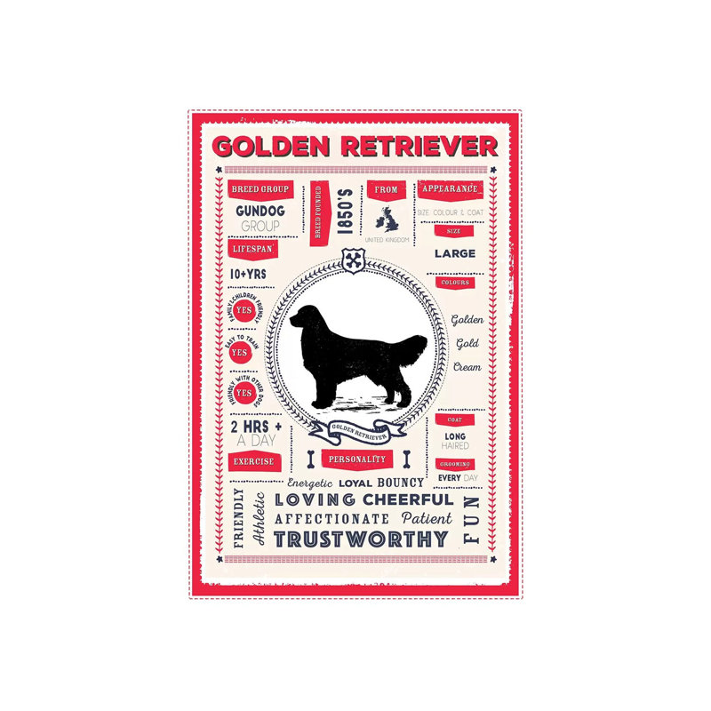 Golden Retriever Infographic Red by PaperPaintPixels - Wrapped Canvas Print, 101.6 cm H x 66.04 cm W x 3.175 cm D