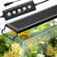 Full Spectrum Aquarium Light