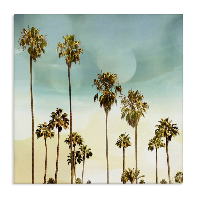 «Palm Tree Beach Sky» par Devon Davis, H 36 po x l 36 po