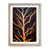 Oak Framed