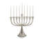 Molten Menorah