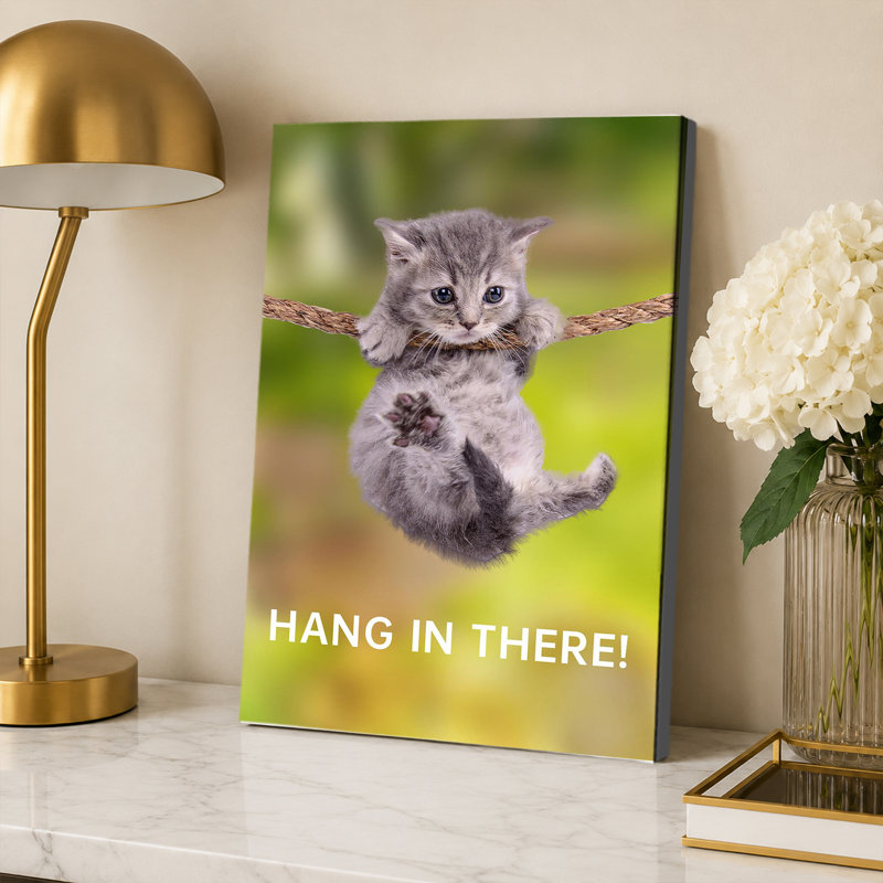 Affiche Hang In There Cat, 12x18inch