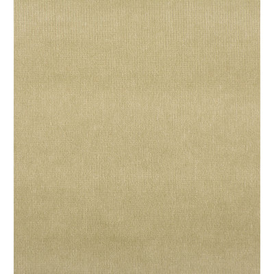 Tissu glamour Essential Velvets