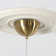 Fribley 1-Light 9.8 Inch Luxury Natural Capiz Shell Chandelier Seashell Pendant Lighting