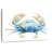 Brampt Cangrejo Azul Square-106046466