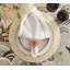 Brilliant Napkin Ring-57345255