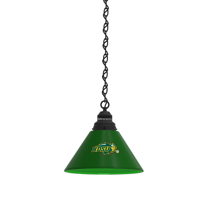 1 - Light Single Pendant, Black, North Dakota State Bison - Green