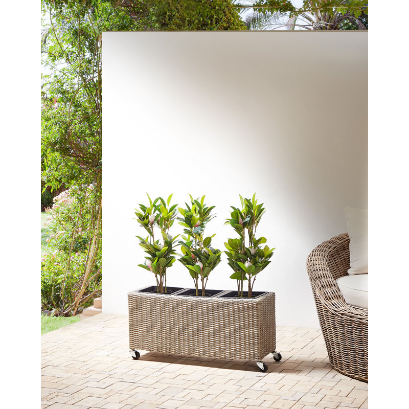 Allana Handmade Pot Planter, Brown