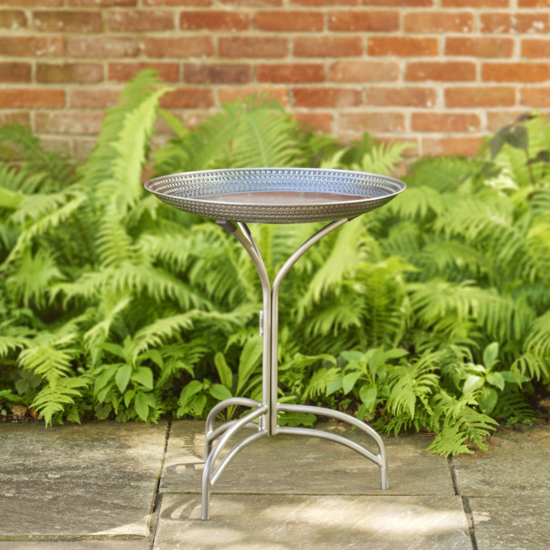 Eugeniya Pedestal Birdbath